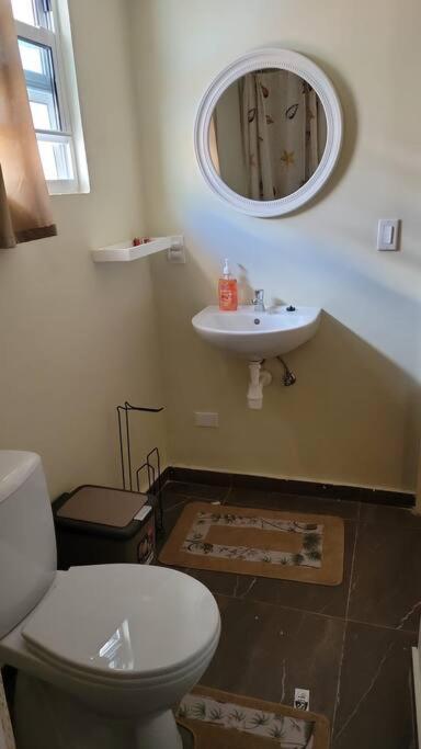 Centrally Located, Private, 1 Bedroom Apartment. Willemstad Exteriör bild