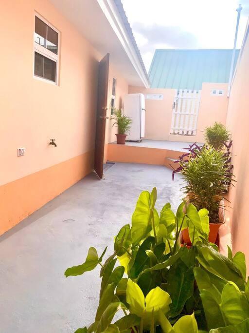 Centrally Located, Private, 1 Bedroom Apartment. Willemstad Exteriör bild